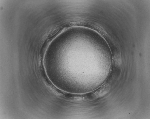 X0000070380458200606121257