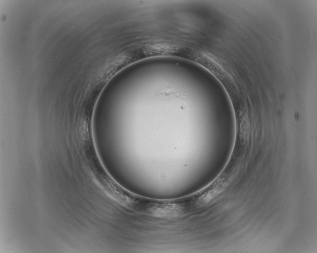 X0000070380459200606121257