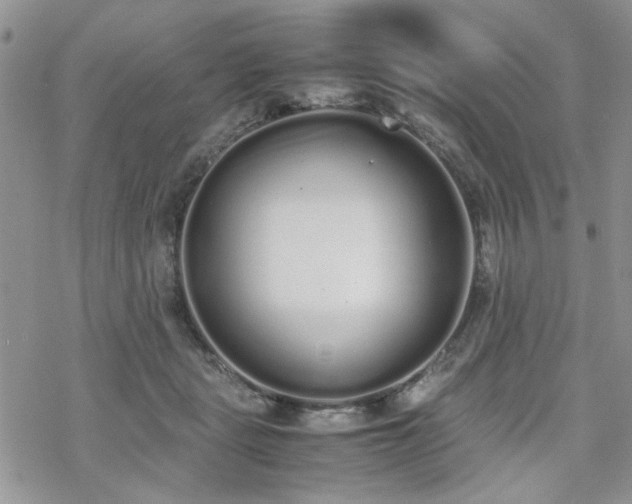 X0000070380461200606121257