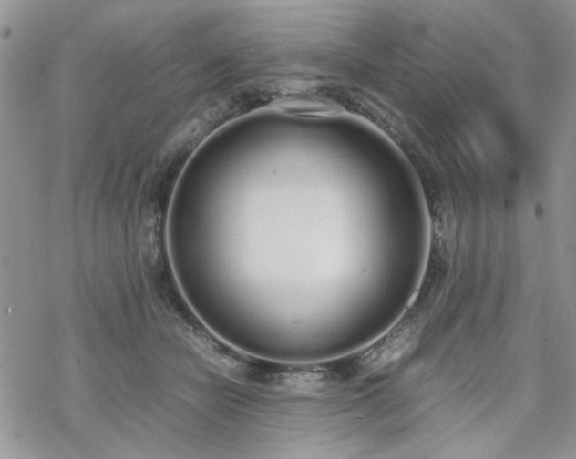 X0000070380462200606121257