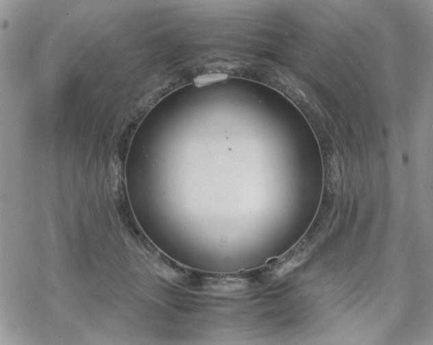 X0000070380463200606121257