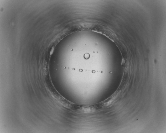 X0000070380464200606121257