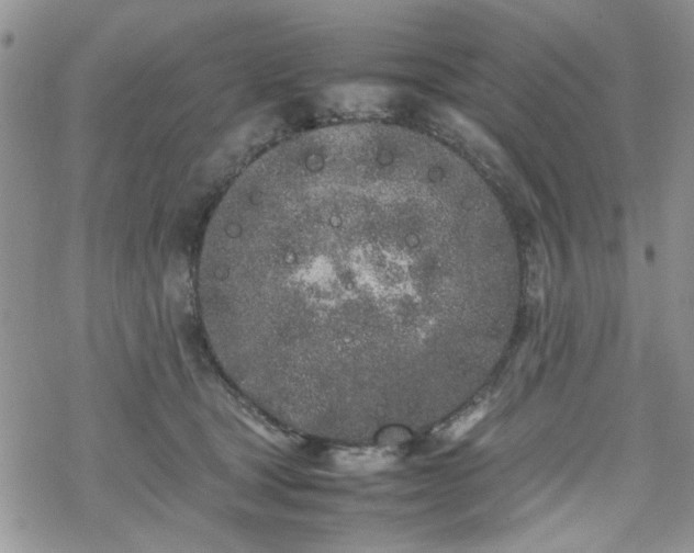 X0000070380465200606121257