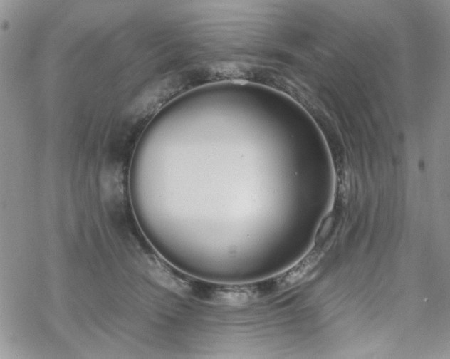 X0000070380466200606121257