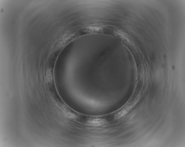 X0000070380467200606121257