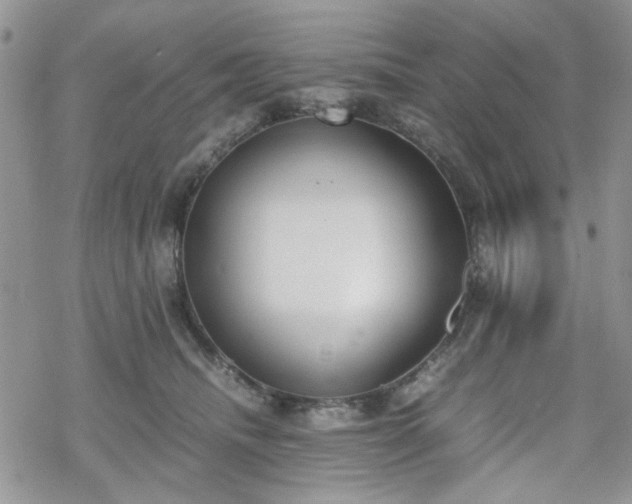 X0000070380468200606121257