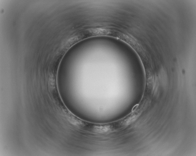 X0000070380469200606121257