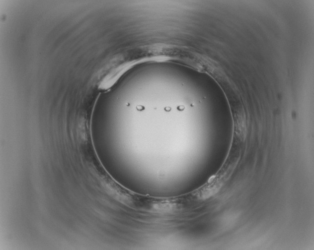 X0000070380470200606121257