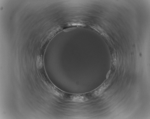 X0000070380471200606121257