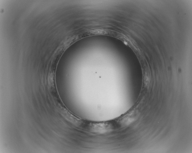 X0000070380473200606121257