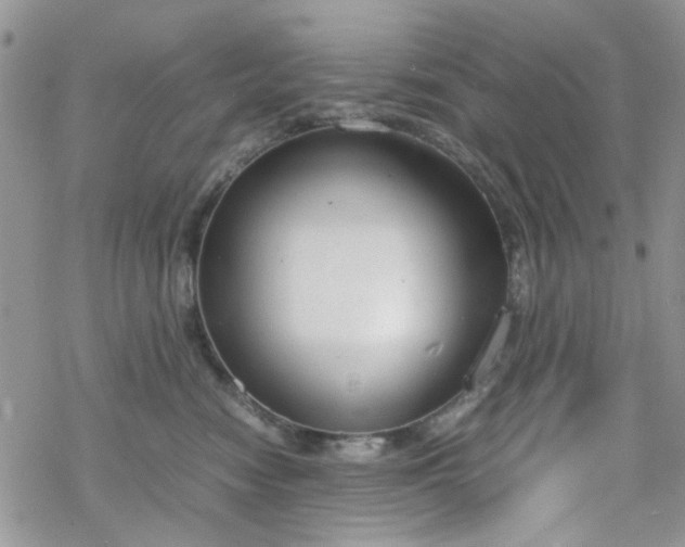 X0000070380474200606121257