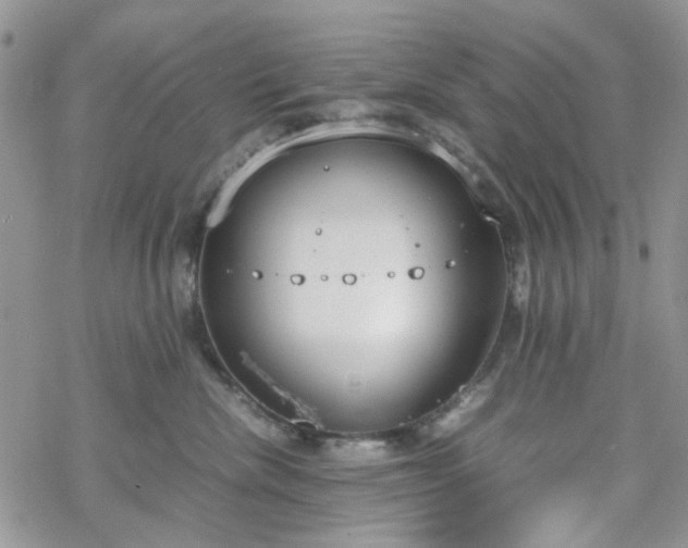 X0000070380476200606121257