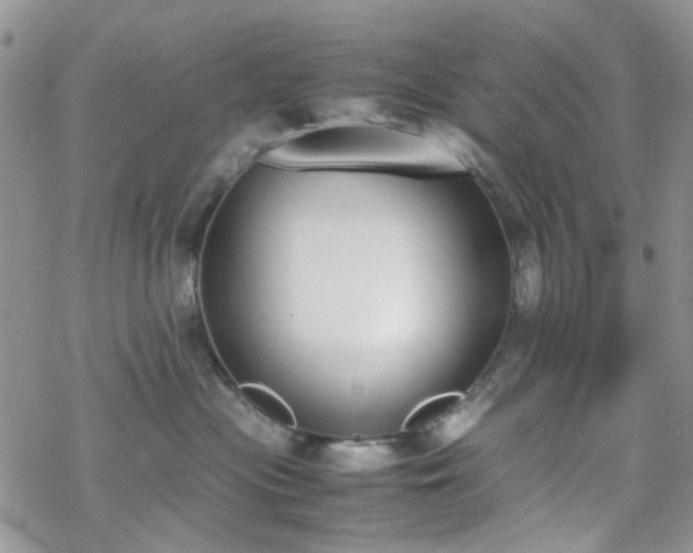 X0000070380477200606121257