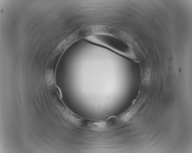 X0000070380478200606121257