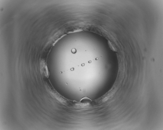 X0000070380480200606121257