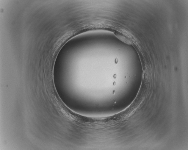 X0000070380481200606121256