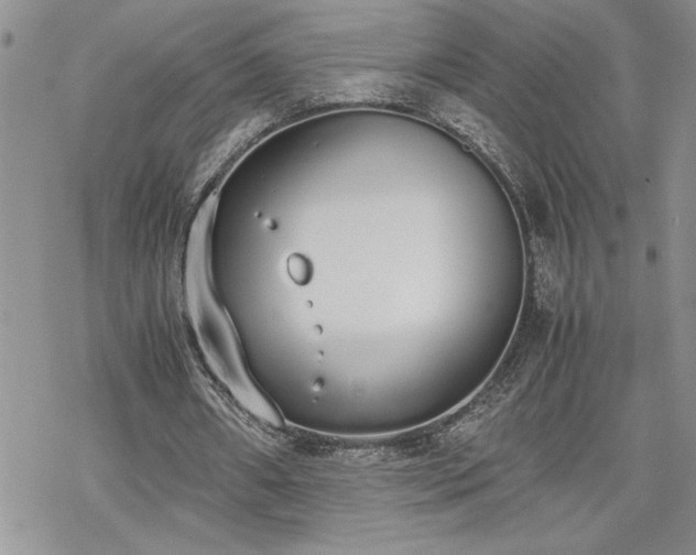 X0000070380482200606121256