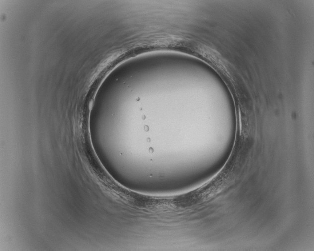 X0000070380483200606121256