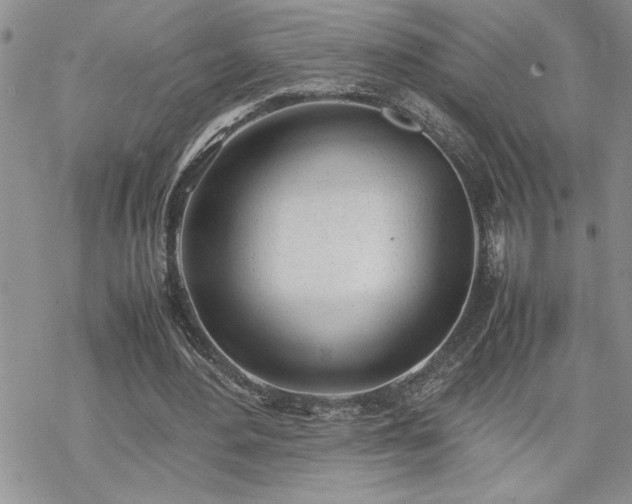 X0000070380484200606121256