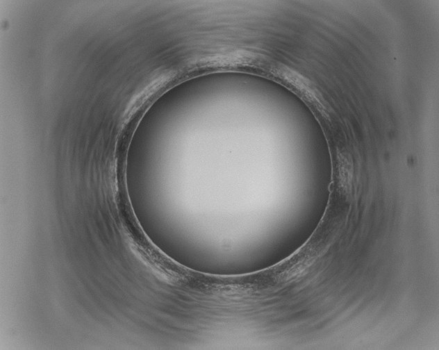 X0000070380486200606121256