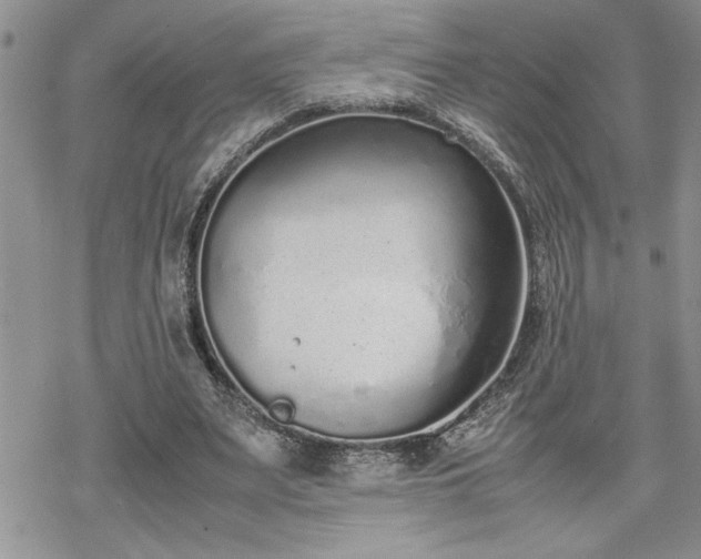 X0000070380487200606121256