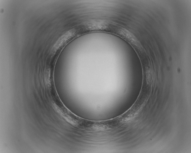 X0000070380490200606121256