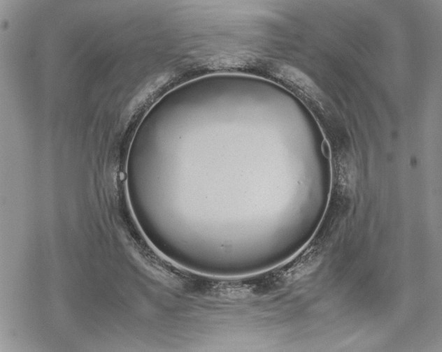 X0000070380491200606121256