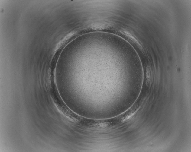 X0000070380492200606121256