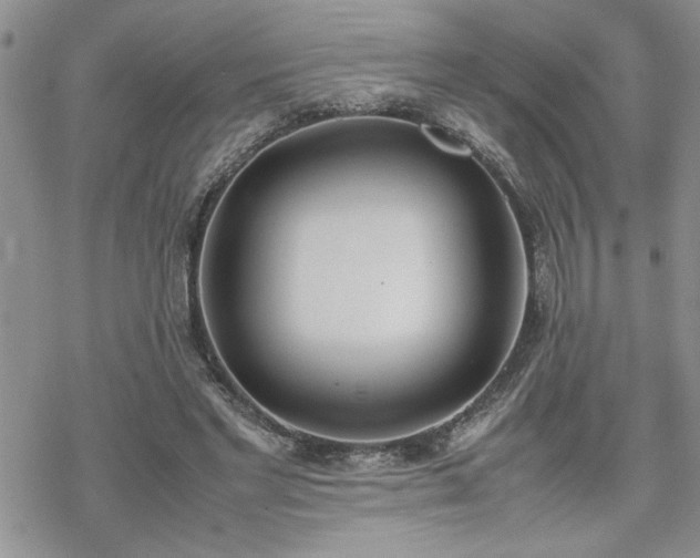 X0000070380493200606121256