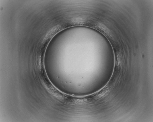 X0000070380494200606121256