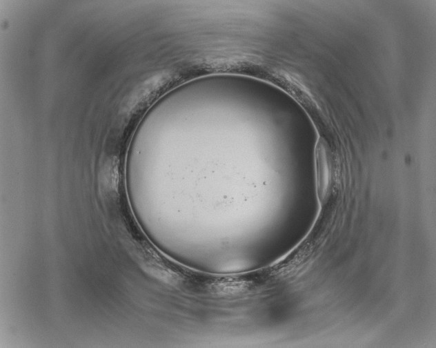 X0000070380495200606121256