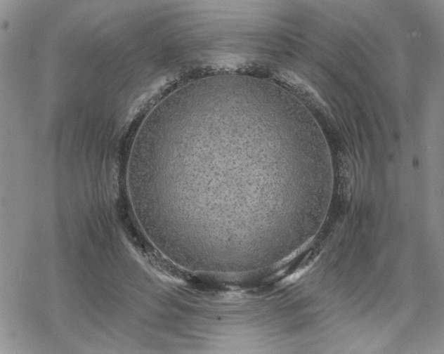 X0000070380496200606121256