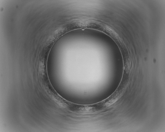 X0000070380497200606121256