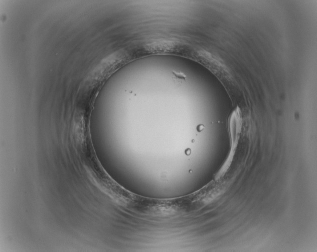 X0000070380498200606121256