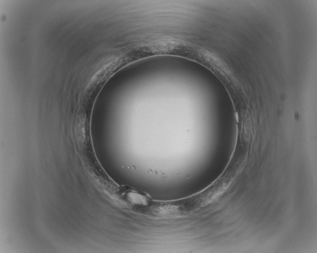 X0000070380501200606121256