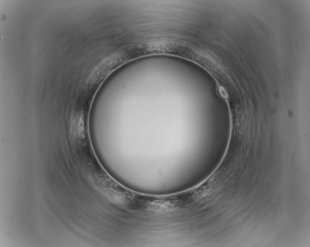 X0000070380502200606121256