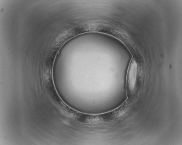 X0000070380503200606121256