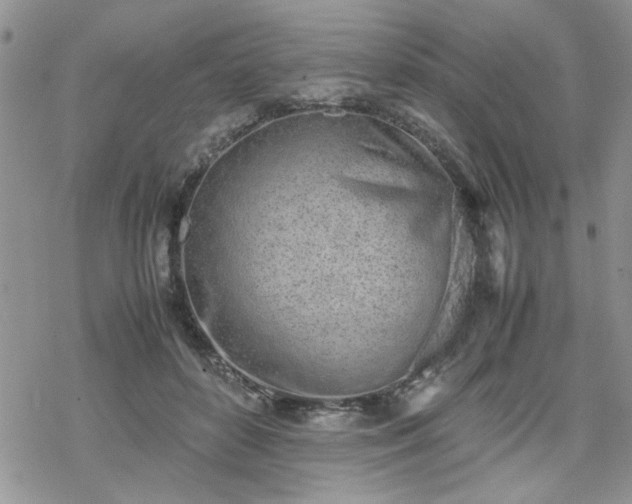 X0000070380504200606121256