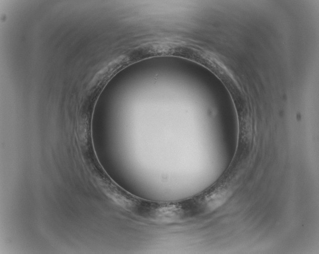 X0000070380505200606121256