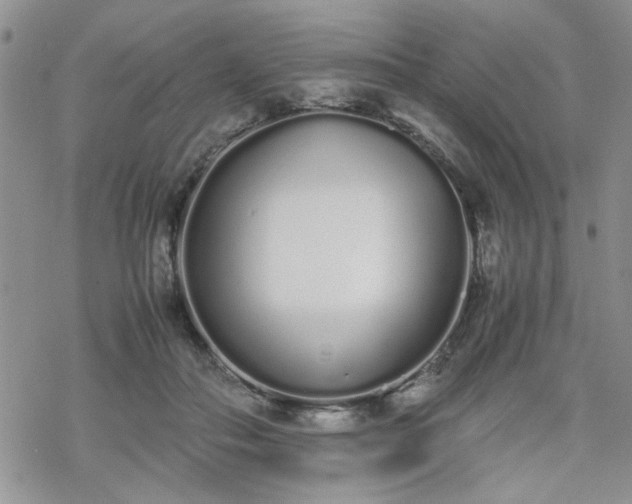 X0000070380506200606121256