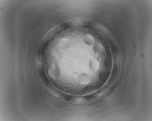 X0000070380507200606121256