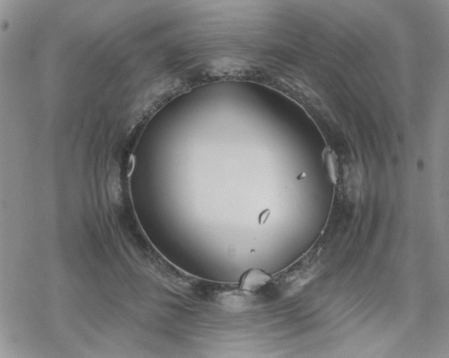 X0000070380508200606121256