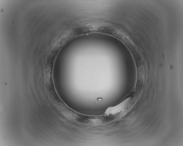 X0000070380509200606121256