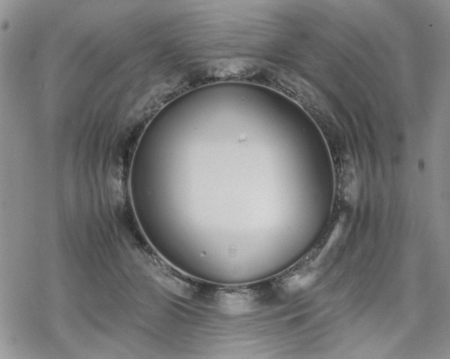 X0000070380510200606121256