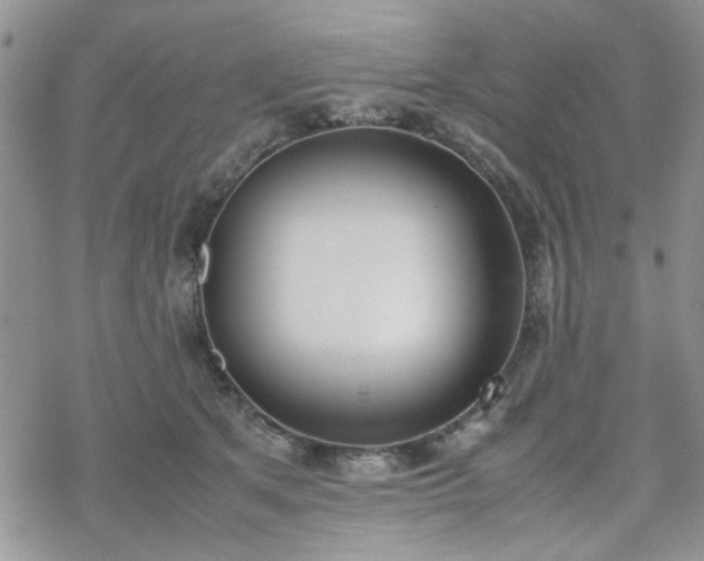 X0000070380513200606121256