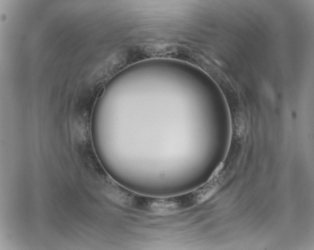 X0000070380515200606121256