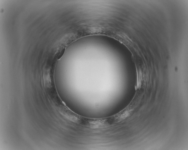 X0000070380516200606121256