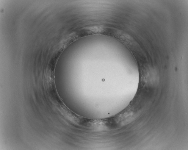 X0000070380518200606121256