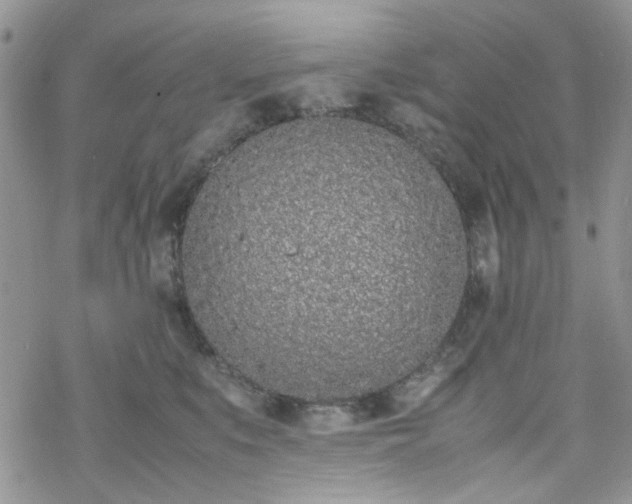 X0000070380519200606121256