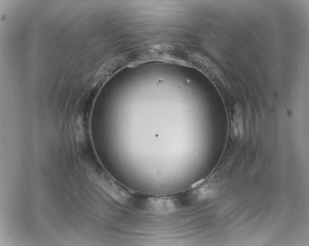 X0000070380520200606121256